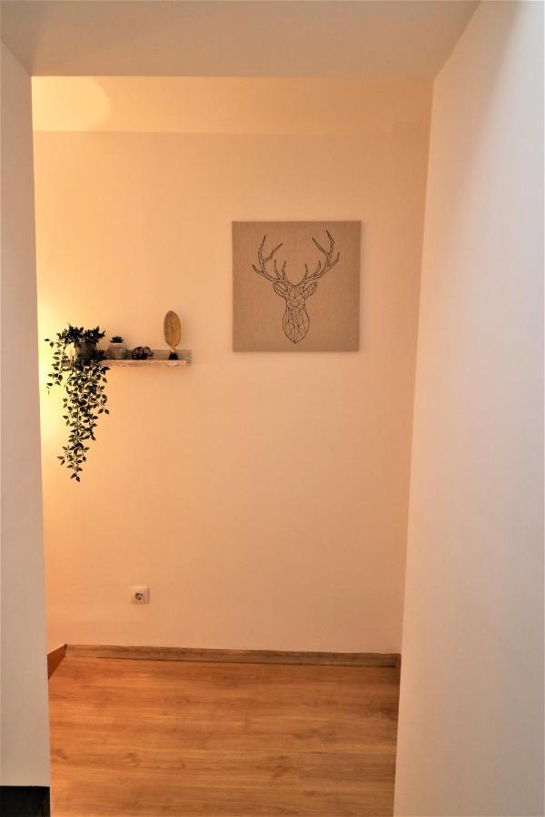 Cozy Old Town Apartment - Free Minibar Bükreş Dış mekan fotoğraf